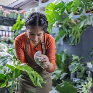 focused-gardener-repotting-a-lush-plant-in-a-vibra-2025-02-12-03-33-48-utc focused-gardener-repotting-a-lush-plant-in-a-vibra-2025-02-12-03-33-48-utc